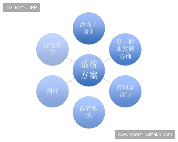 K8凯发真人国际平台的客户服务体系与常见问题解决方案